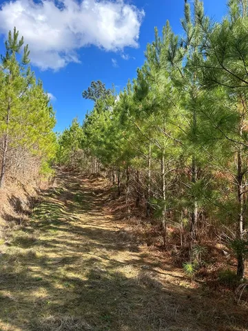 $296,489 | . Dennis Cross, Fayette, MS 39069