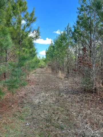 $296,489 | . Dennis Cross, Fayette, MS 39069