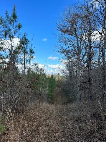 $296,489 | . Dennis Cross, Fayette, MS 39069