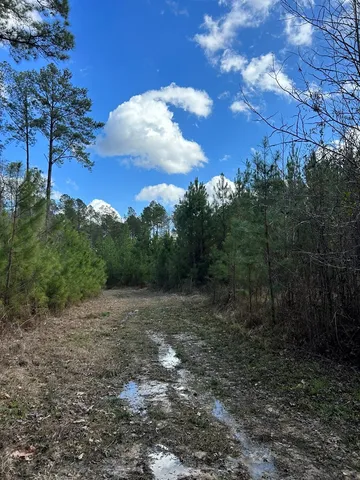 $296,489 | . Dennis Cross, Fayette, MS 39069