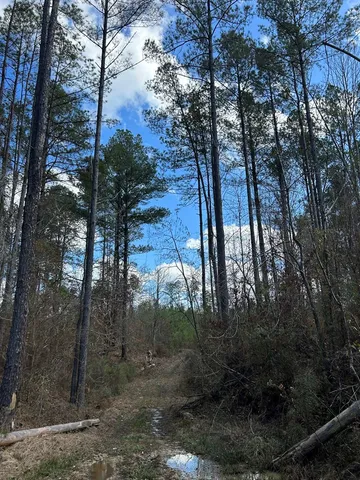 $296,489 | . Dennis Cross, Fayette, MS 39069