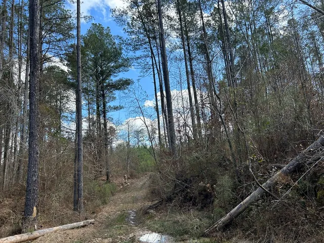 $296,489 | . Dennis Cross, Fayette, MS 39069