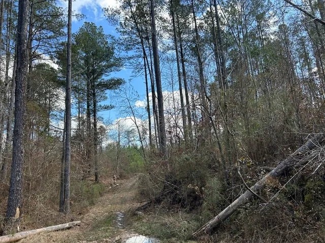 $296,489 | . Dennis Cross, Fayette, MS 39069