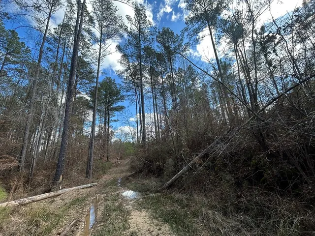 $296,489 | . Dennis Cross, Fayette, MS 39069