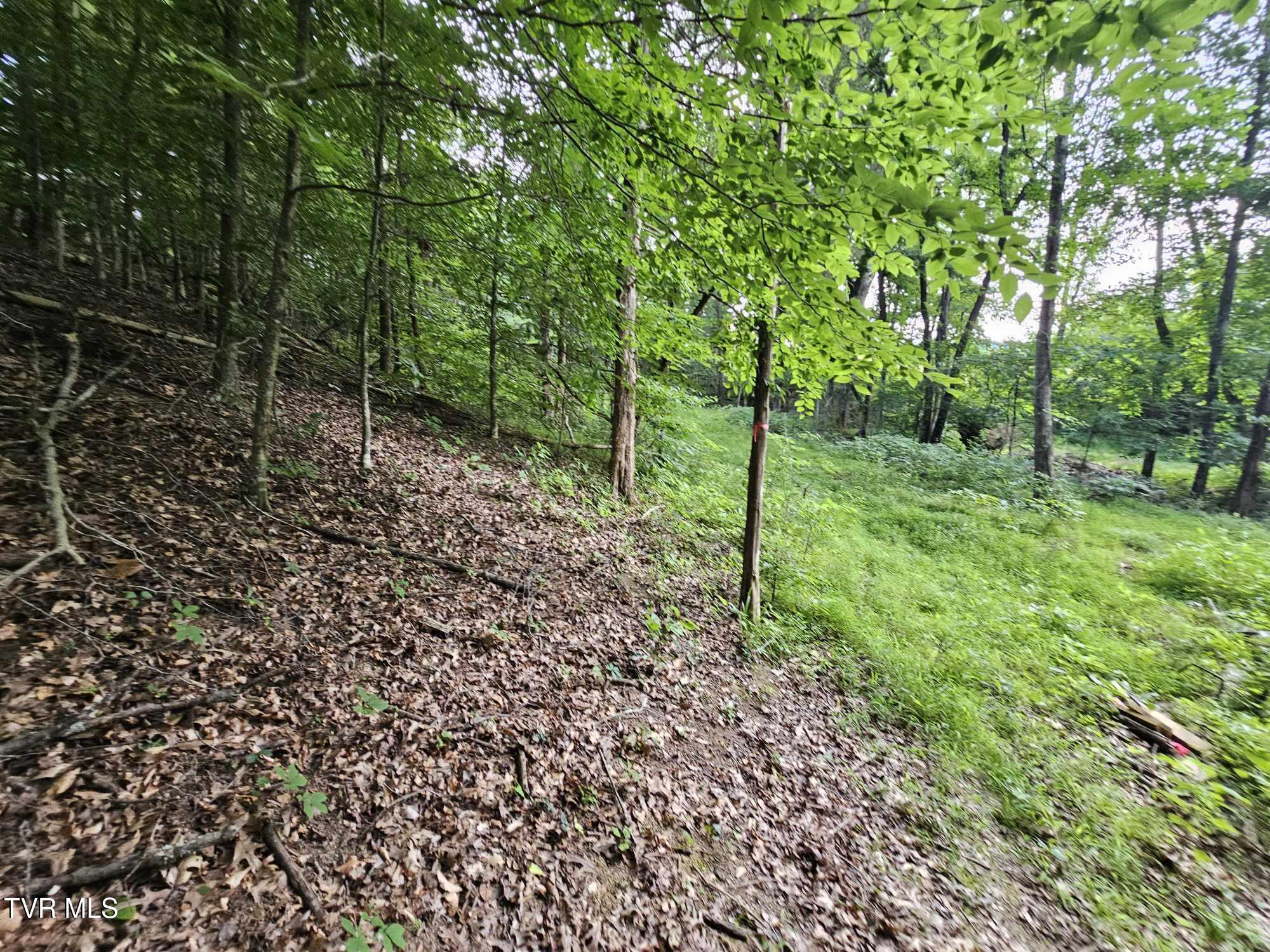 2264 Devault Bridge Road Piney Flats, TN 37686 - Photo 6 of 29 52698cb8-ab7d-4acc-9262-a01f61fc0691