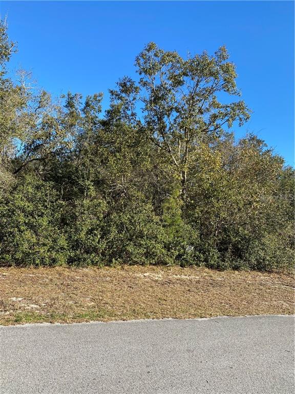 Tba Southwest 153rd Loop Ocala, FL 34473 - Photo 1 of 1 Gallery Image 1