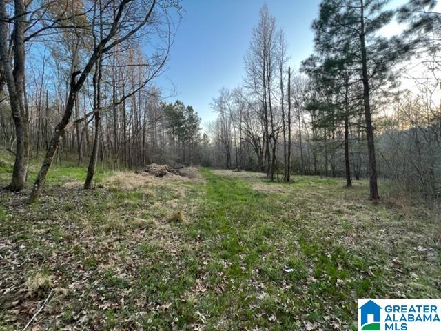 1837 Westover Road Sterrett, AL 35147 - Photo 5 of 14