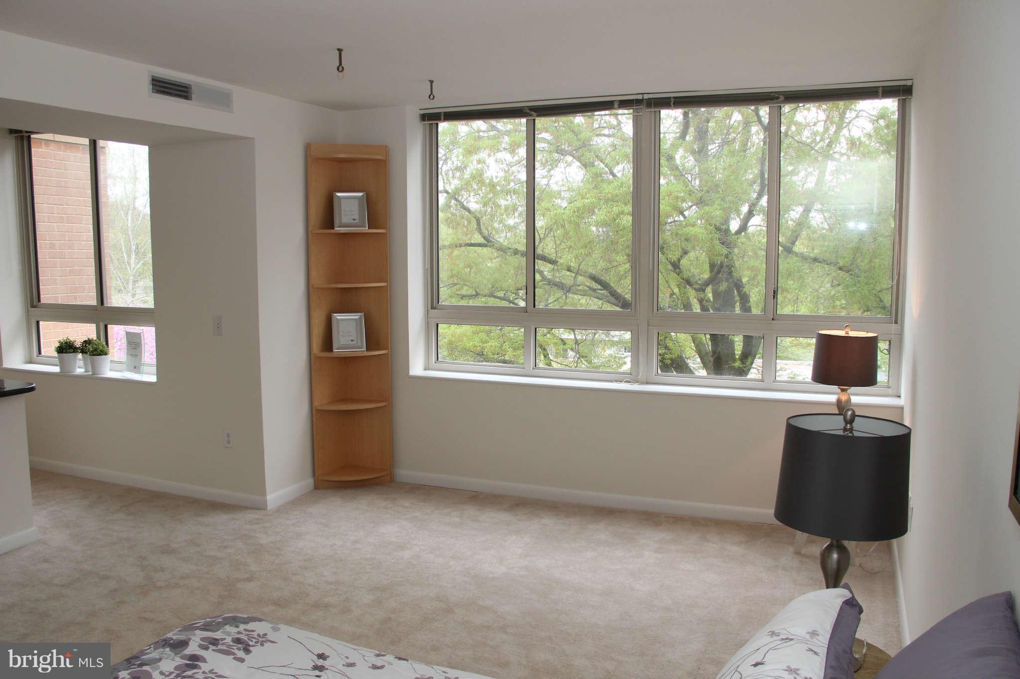 355 I Street Southwest, Unit S423 Washington, DC 20024 - Photo 3 of 23 Living Room
