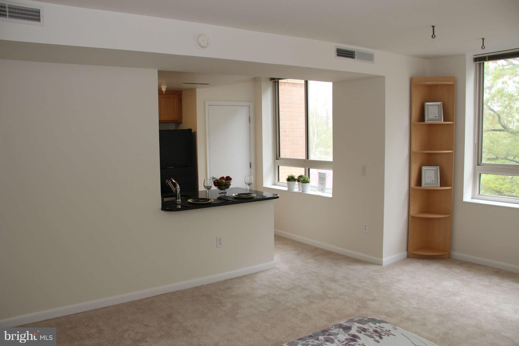 355 I Street Southwest, Unit S423 Washington, DC 20024 - Photo 4 of 23 Living Room