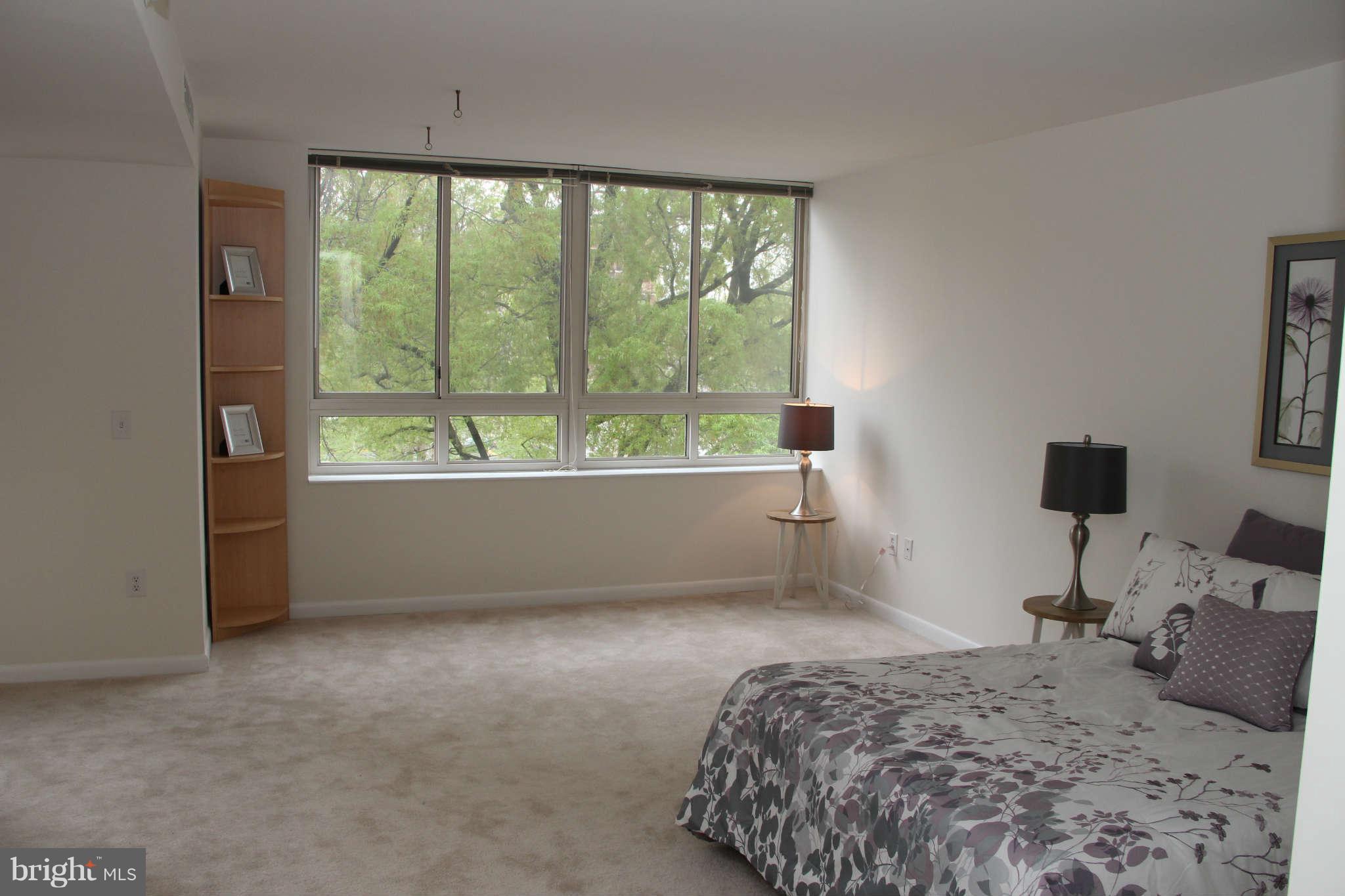 355 I Street Southwest, Unit S423 Washington, DC 20024 - Photo 5 of 23 Living Room
