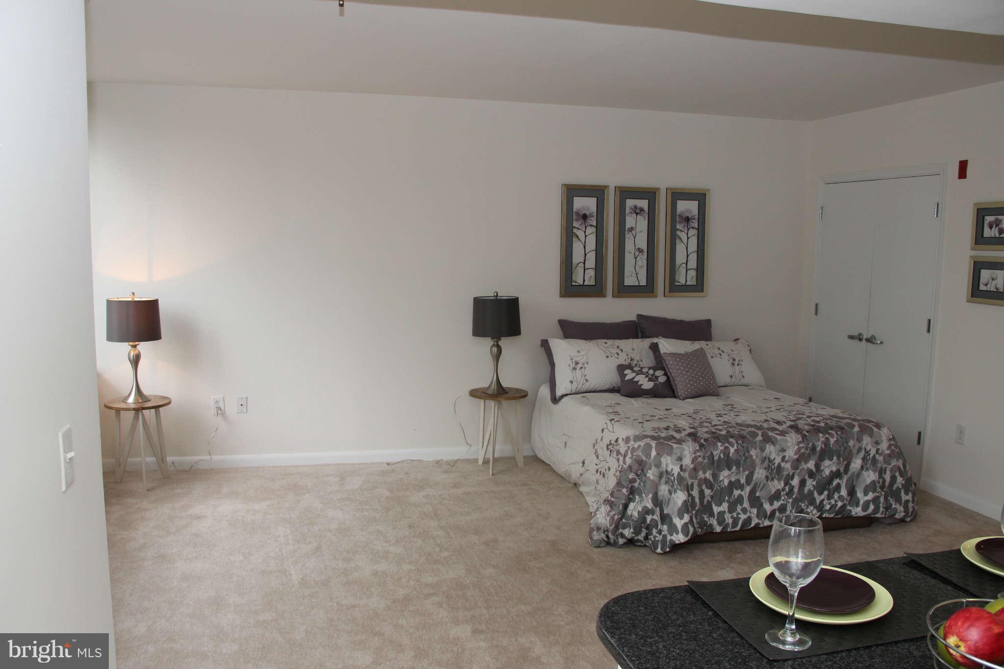 355 I Street Southwest, Unit S423 Washington, DC 20024 - Photo 6 of 23 Living Room
