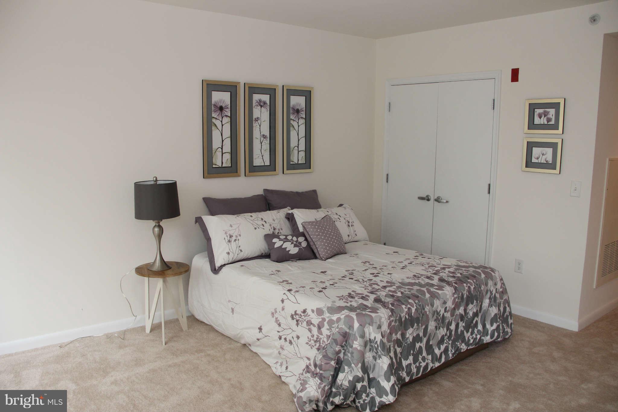 355 I Street Southwest, Unit S423 Washington, DC 20024 - Photo 7 of 23 Interior (General)