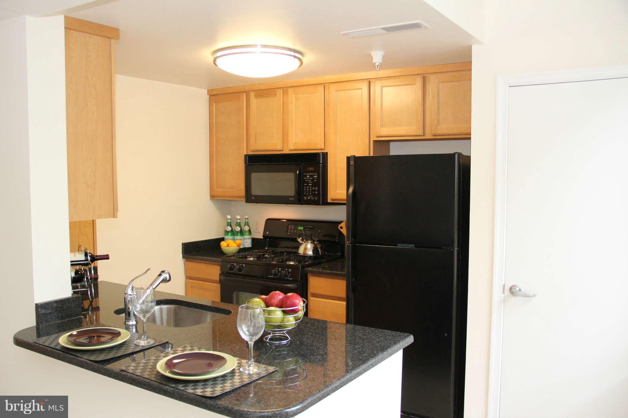 355 I Street Southwest, Unit S423 Washington, DC 20024 - Photo 8 of 23 Kitchen