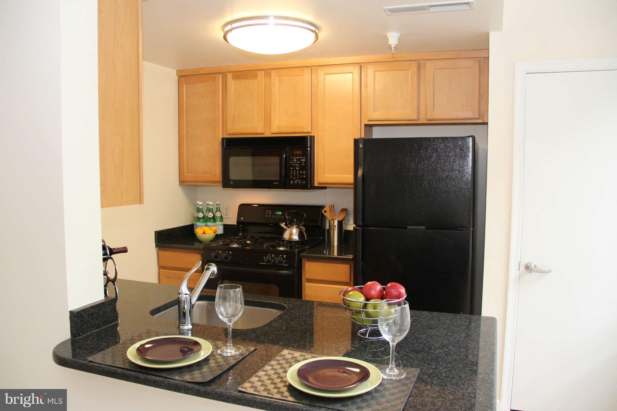 355 I Street Southwest, Unit S423 Washington, DC 20024 - Photo 9 of 23 Kitchen