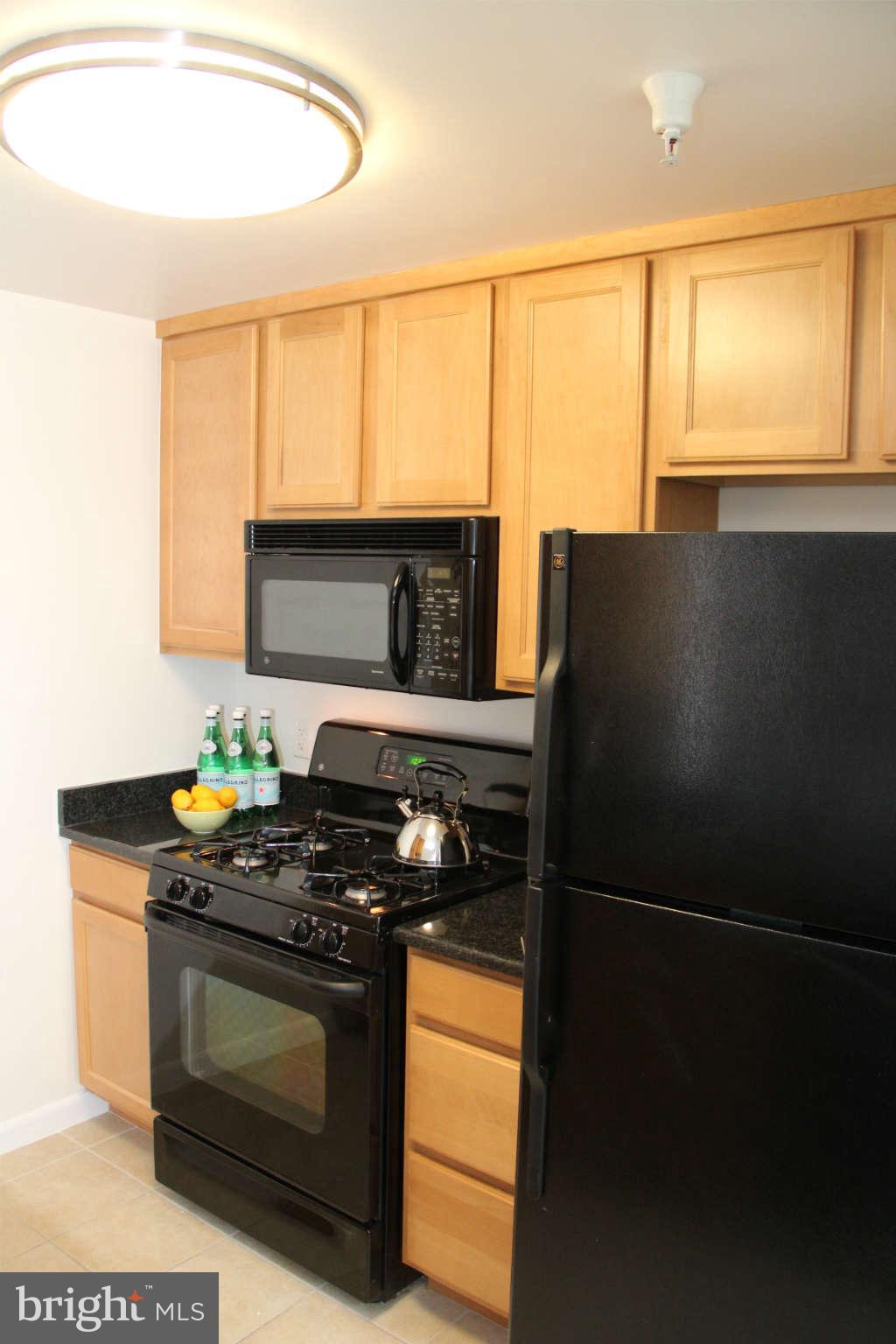 355 I Street Southwest, Unit S423 Washington, DC 20024 - Photo 10 of 23 Kitchen