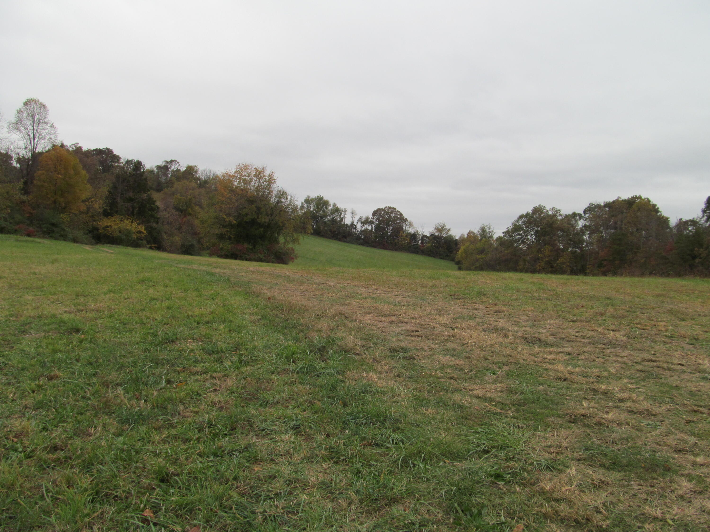793 South Pickens Bridge Road Gray, TN 37615 - Photo 2 of 8 IMG_0913