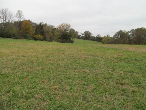 $750,000 | 793 South Pickens Bridge Road, Gray, TN 37615