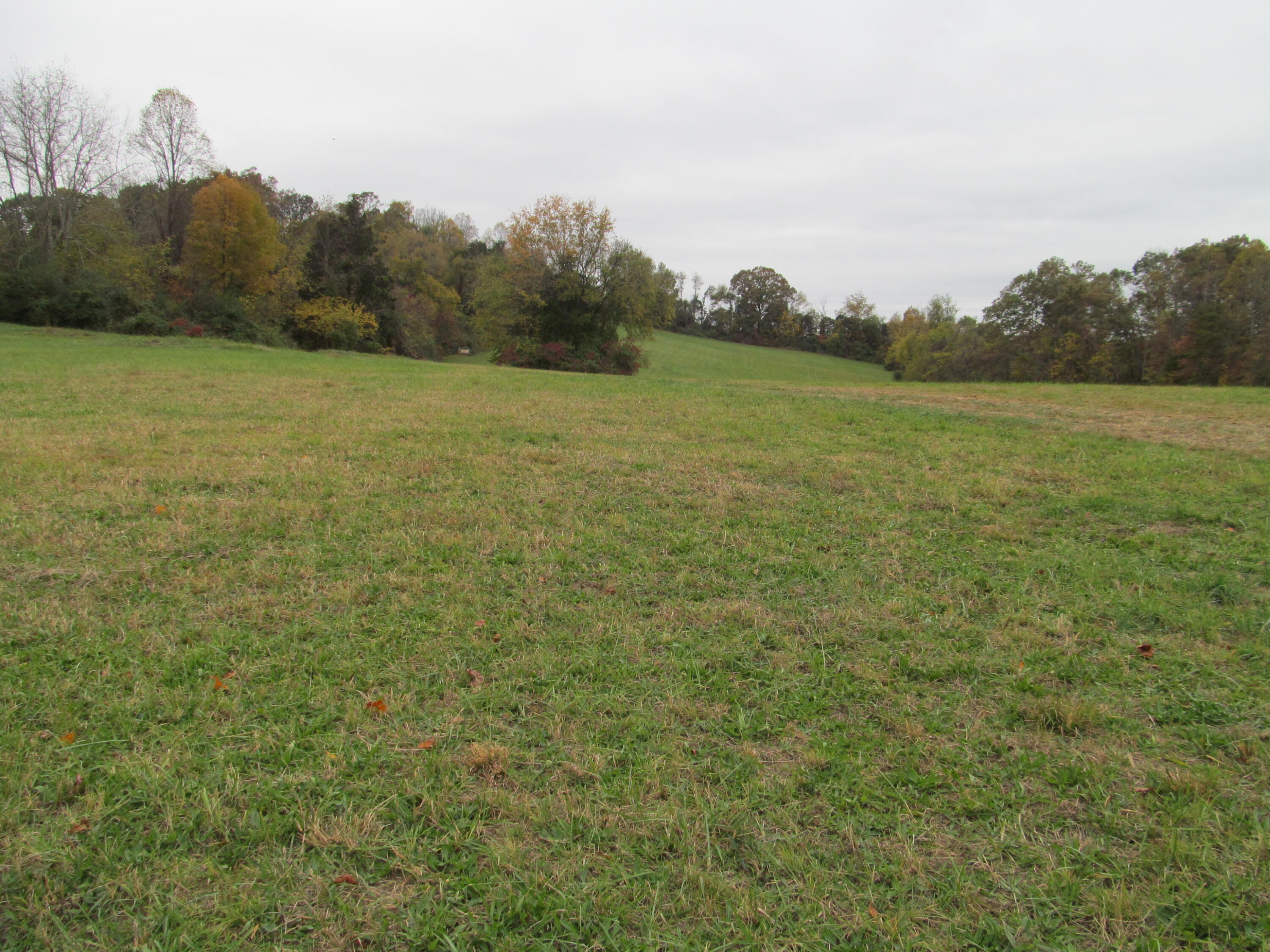 793 South Pickens Bridge Road Gray, TN 37615 - Photo 3 of 8 IMG_0914