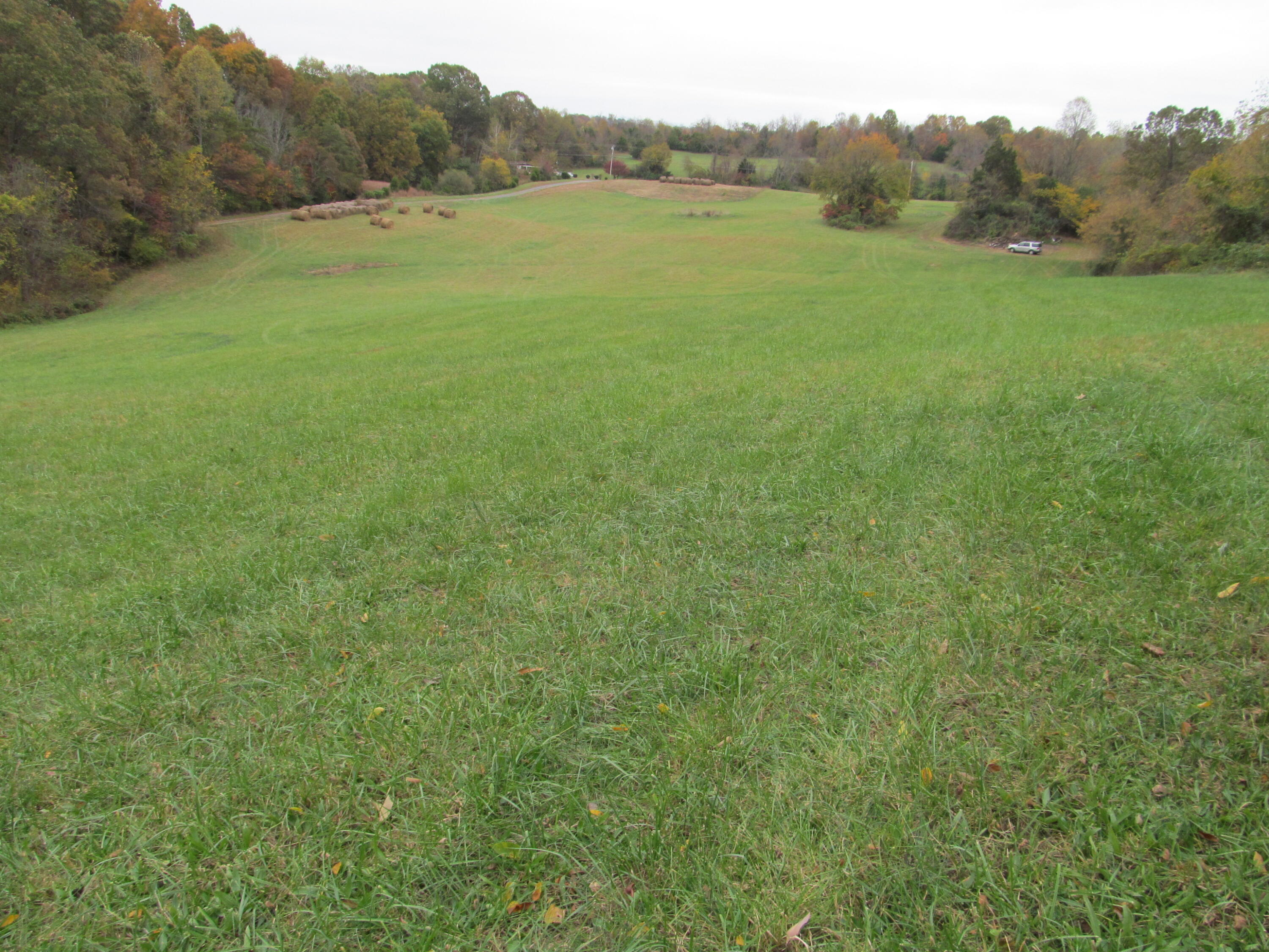 793 South Pickens Bridge Road Gray, TN 37615 - Photo 4 of 8 IMG_0916