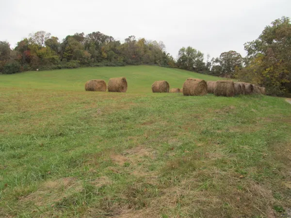 $750,000 | 793 South Pickens Bridge Road, Gray, TN 37615