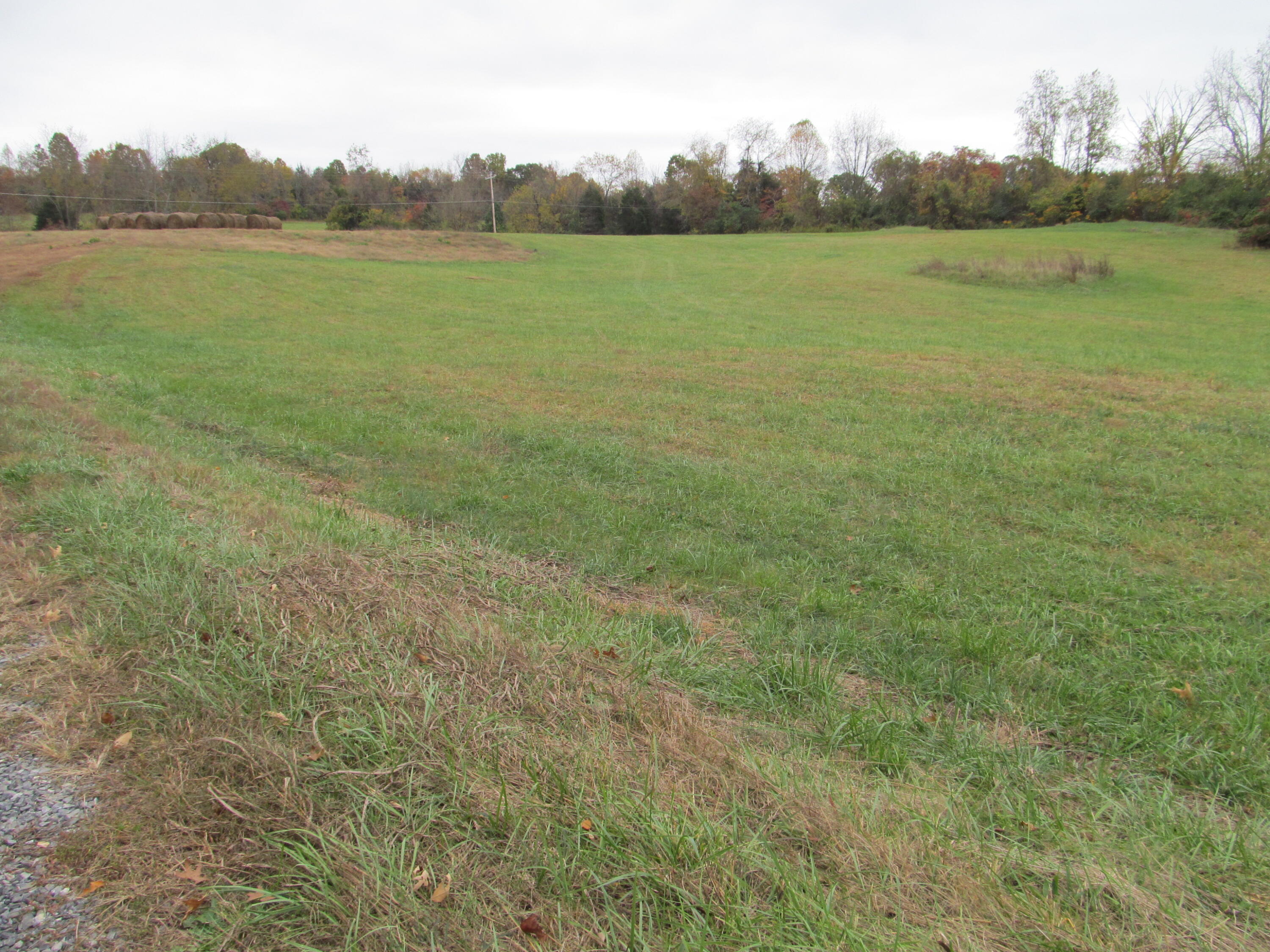 793 South Pickens Bridge Road Gray, TN 37615 - Photo 7 of 8 IMG_0919
