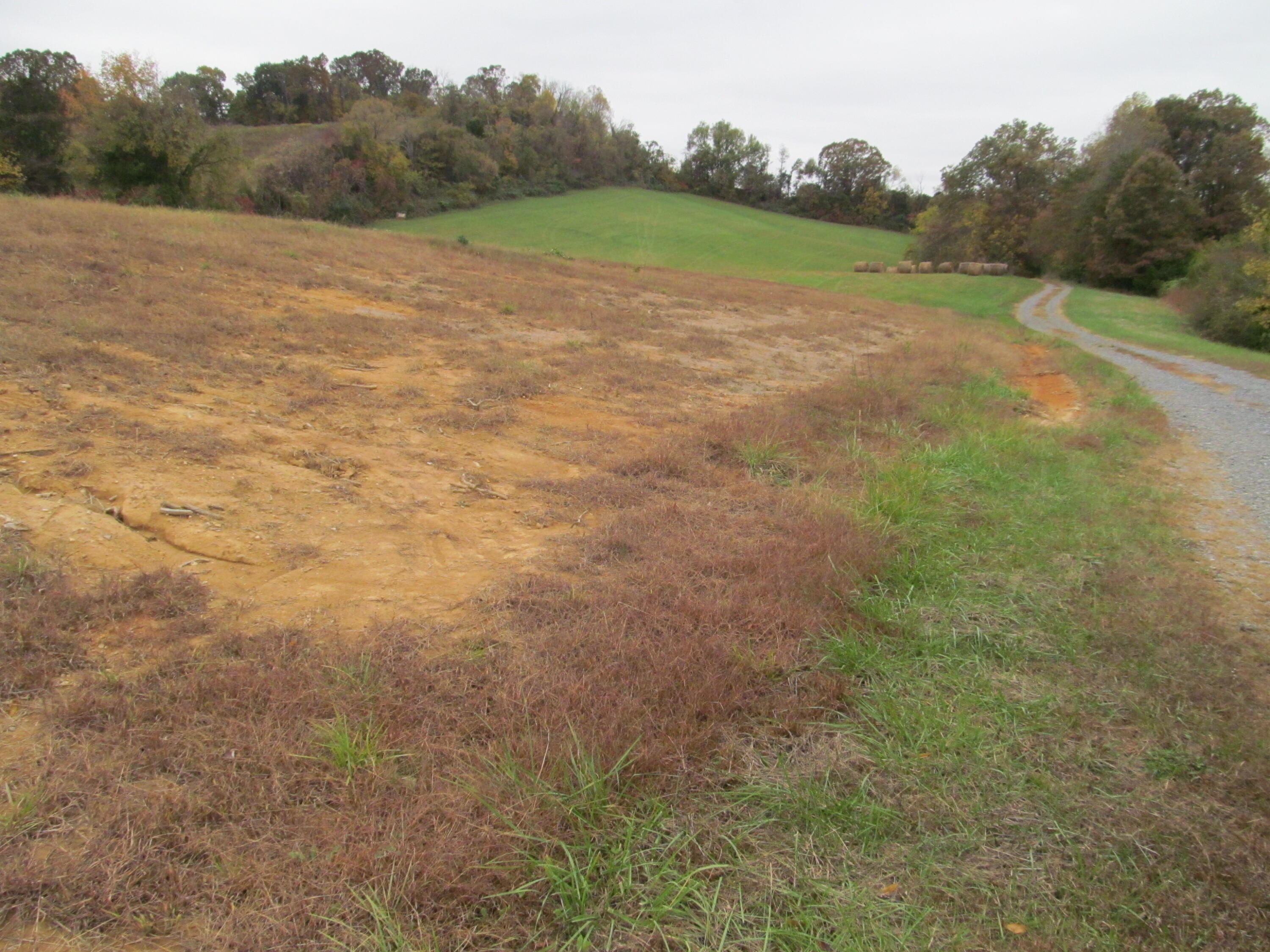 793 South Pickens Bridge Road Gray, TN 37615 - Photo 8 of 8 IMG_0920