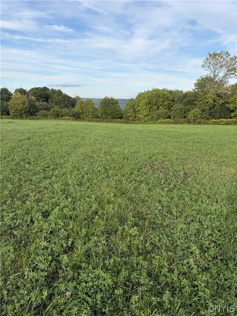 3936 E Road West Turin, NY 13473 - Photo 2 of 7 +