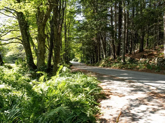 $145,000 | 918 Lovers Ln Road, Chester, VT 05143