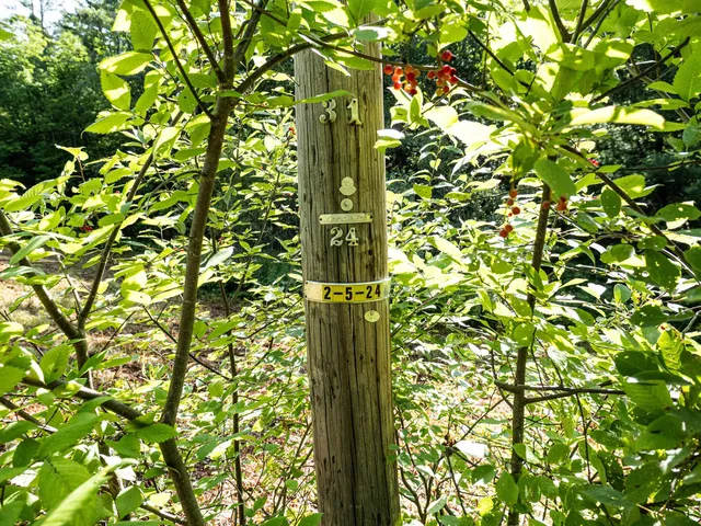 $145,000 | 918 Lovers Ln Road, Chester, VT 05143