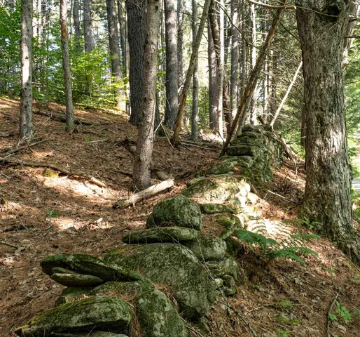 $145,000 | 918 Lovers Ln Road, Chester, VT 05143