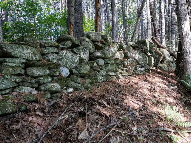 $145,000 | 918 Lovers Ln Road, Chester, VT 05143