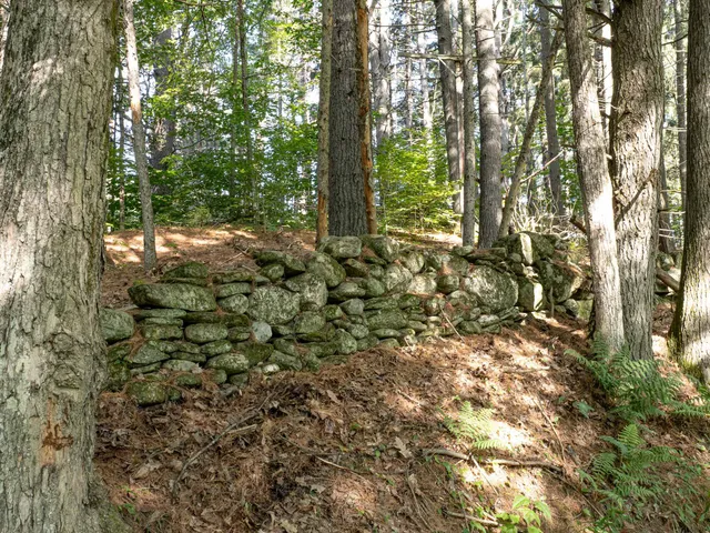 $145,000 | 918 Lovers Ln Road, Chester, VT 05143