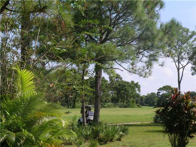 6427 Wild Olive Lane Stuart, FL 34997 - Photo 3 of 23