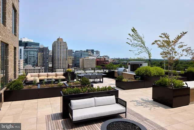 a view of a terrace with couches and potted plants