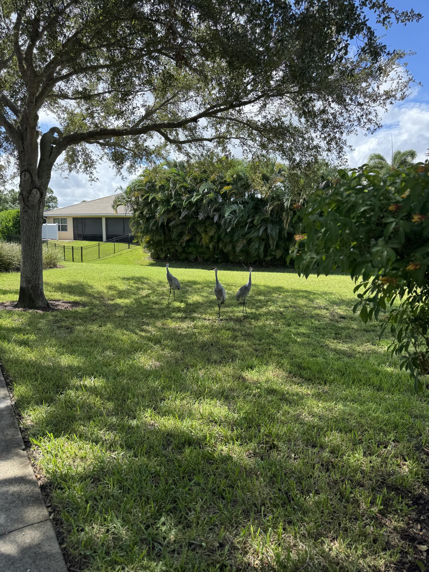 2190 Northwest Dalea Way Stuart, FL 34994 - Photo 29 of 31 a view of an house with a yard