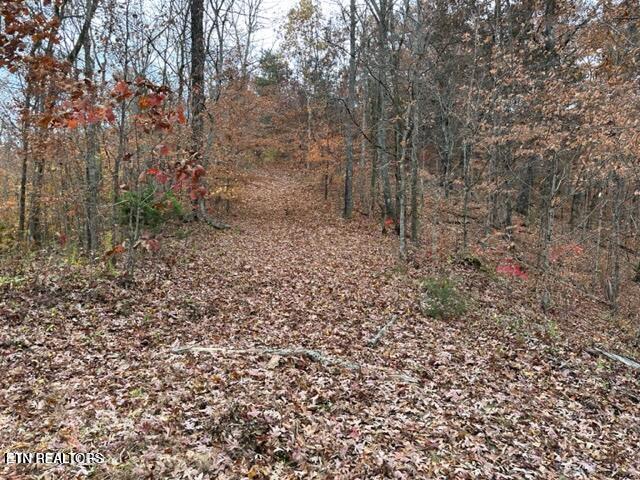 441 Trails End Road Walland, TN 37886 - Photo 2 of 2 Mantzaris 1