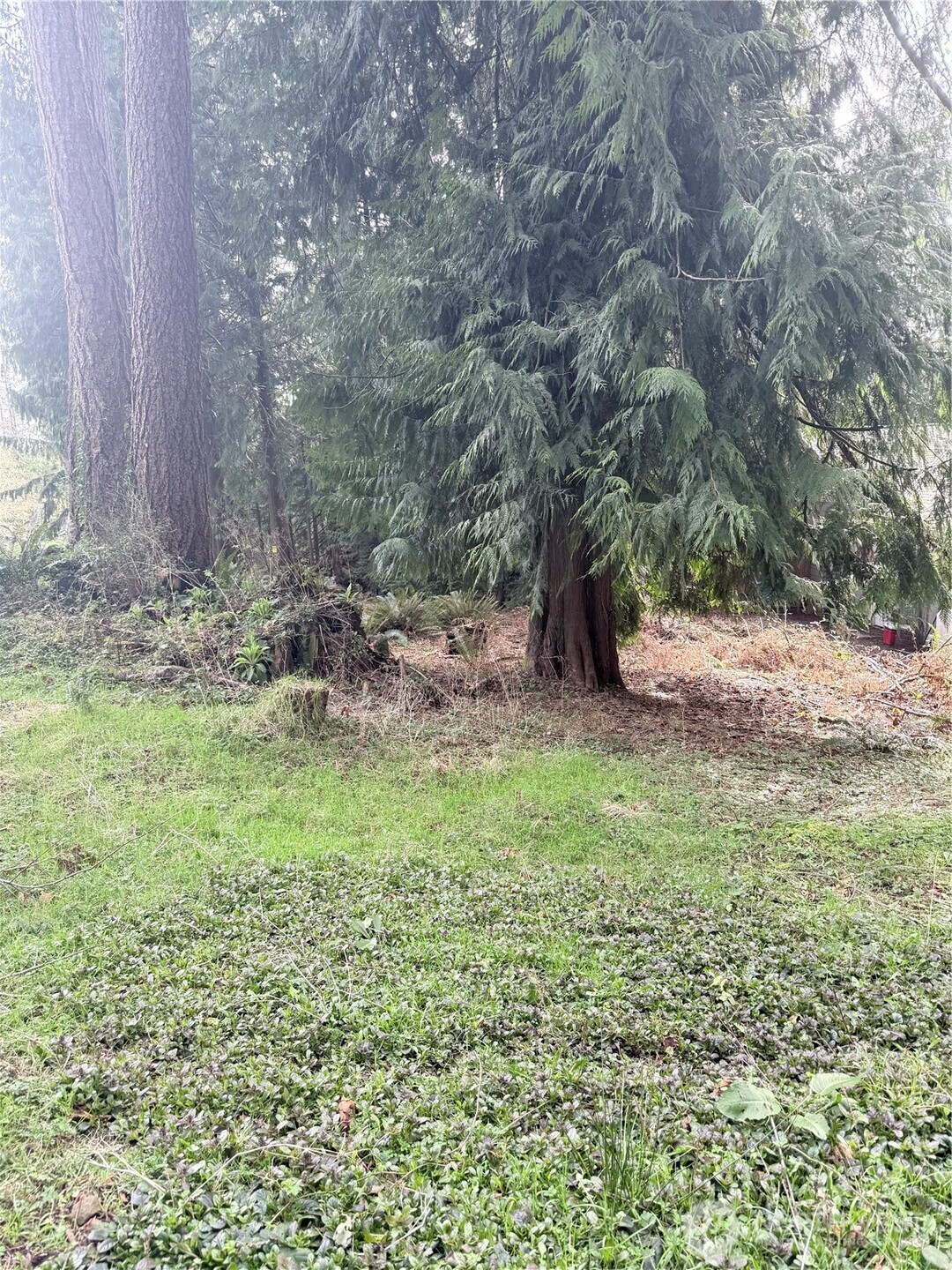 -xxx Xxx West Road Sedro-Woolley, WA 98284 - Photo 1 of 2