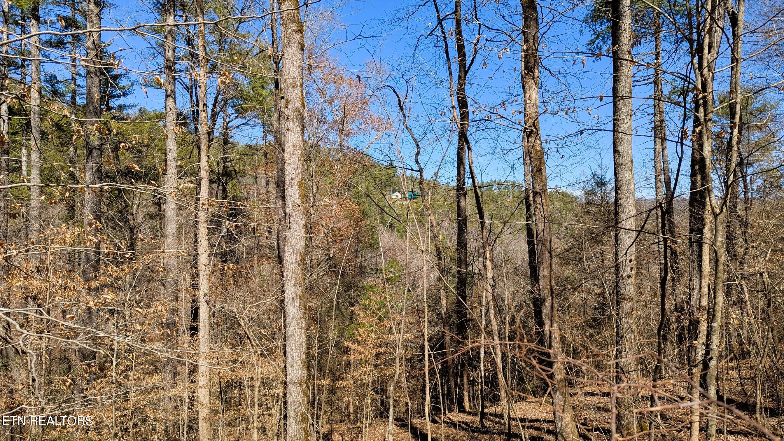 14 Acres Road Townsend, TN 37882 - Photo 9 of 13 Views from building spot