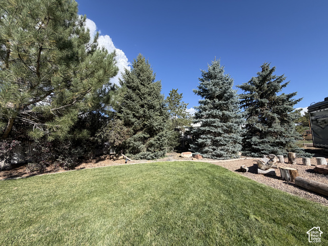 1750 West 4100 North Helper, UT 84526 - Photo 48 of 50 Manicured lawn with mature evergreen trees, bark mulched landscaping, and natural wood accents