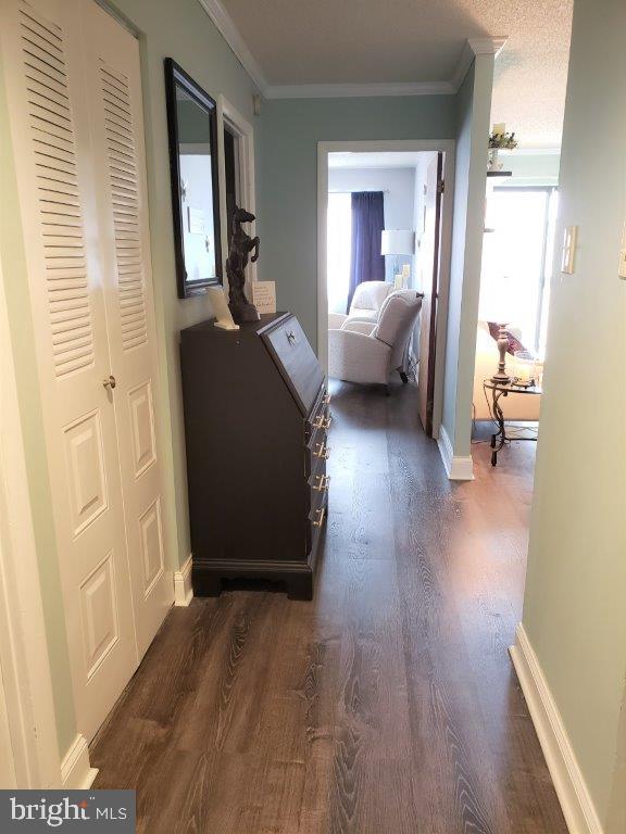 700 Avondale Road, Unit 5E Wallingford, PA 19086 - Photo 4 of 27