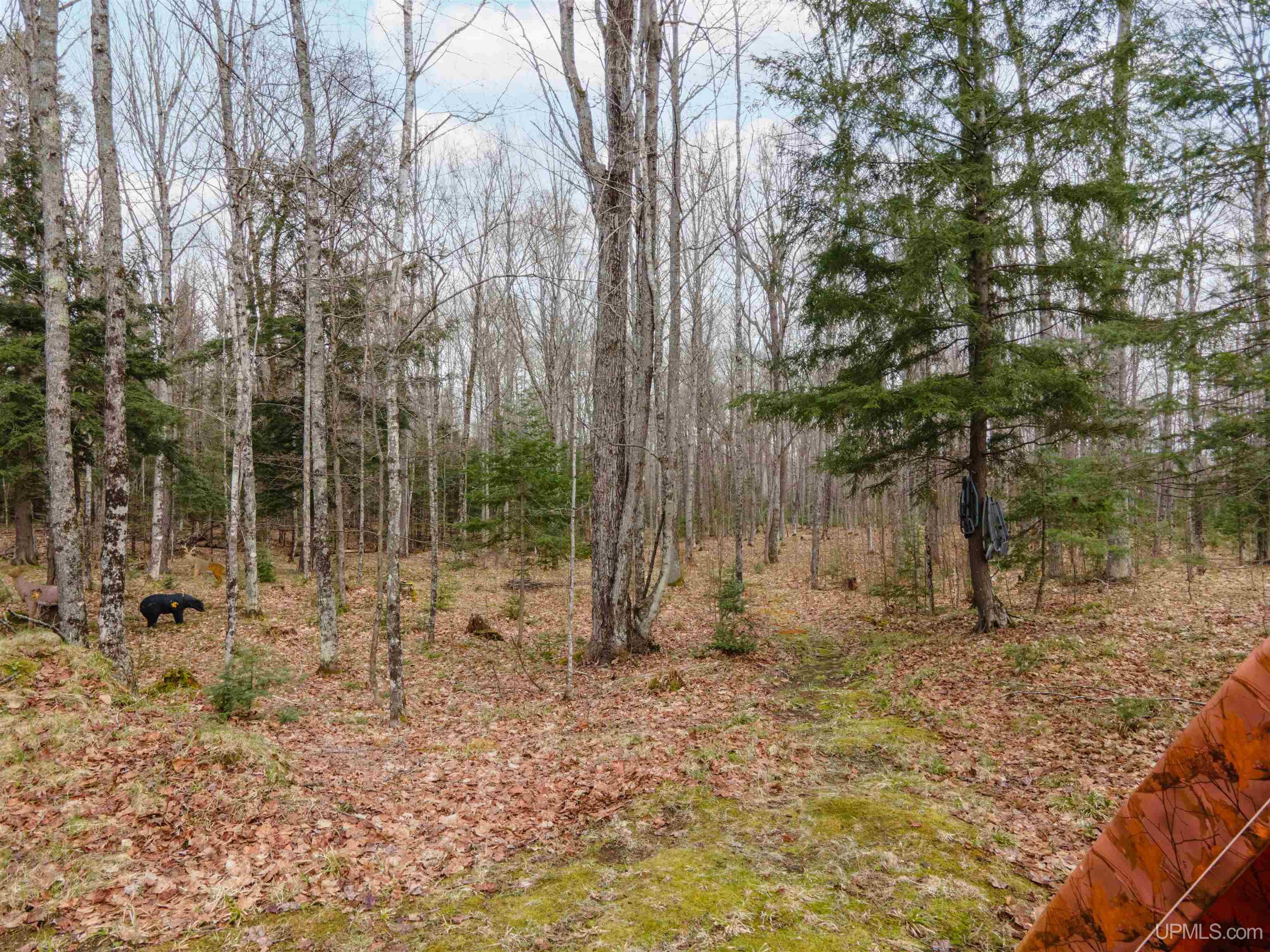 172 Soderena Road Crystal Falls, MI 49920 - Photo 40 of 42