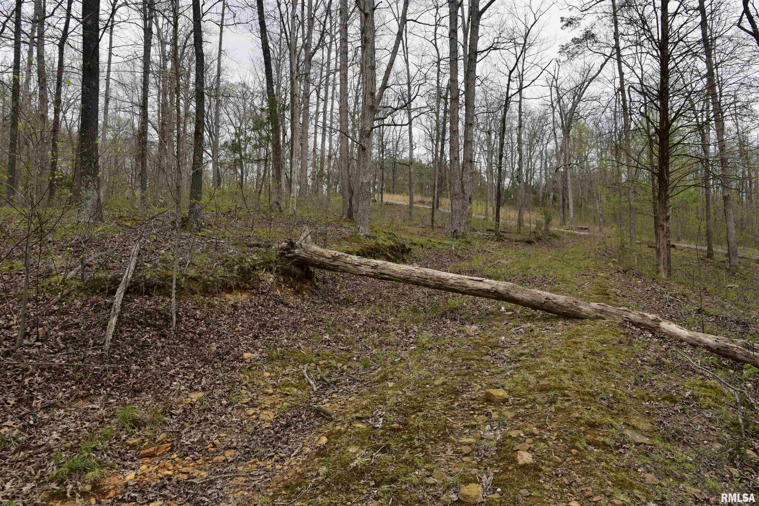 0 Parrish Ridge Lane Goreville, IL 62939 - Photo 15 of 26