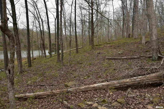 $185,000 | 0 Parrish Ridge Lane, Goreville, IL 62939