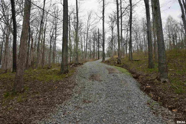 $185,000 | 0 Parrish Ridge Lane, Goreville, IL 62939