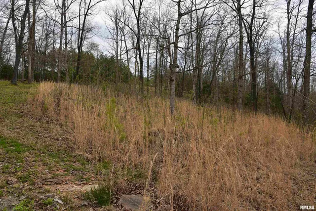 $185,000 | 0 Parrish Ridge Lane, Goreville, IL 62939