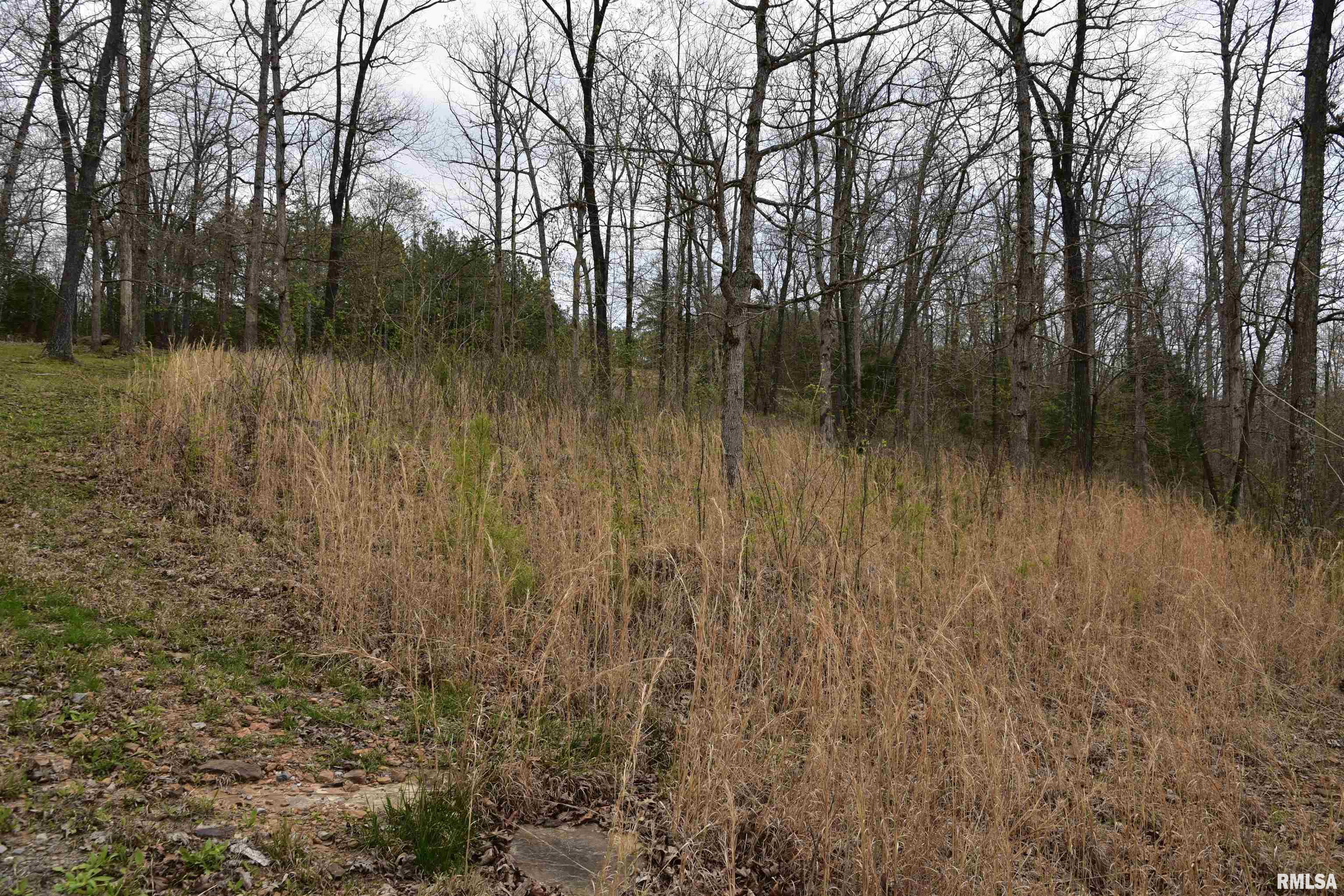 0 Parrish Ridge Lane Goreville, IL 62939 - Photo 19 of 26