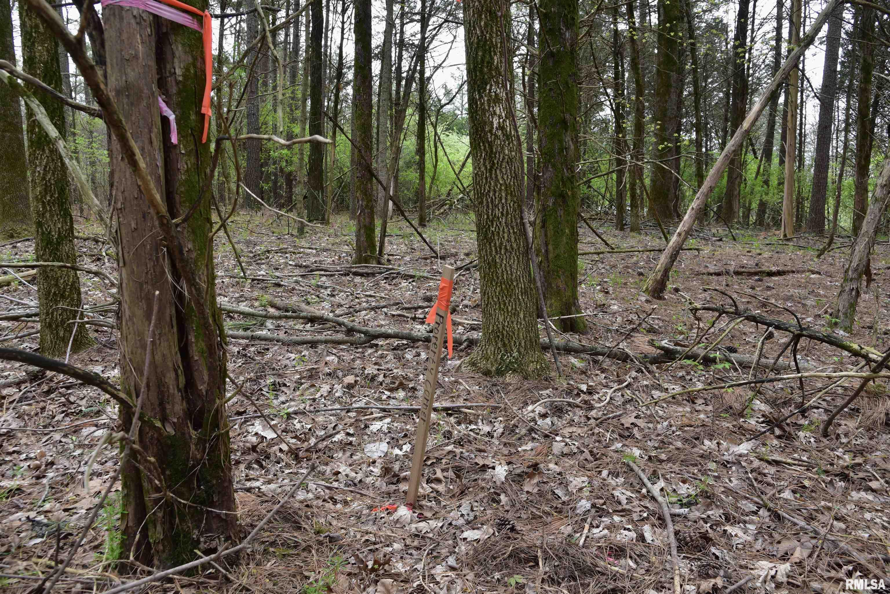 0 Parrish Ridge Lane Goreville, IL 62939 - Photo 21 of 26