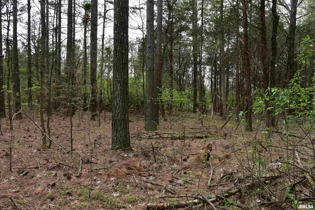 $185,000 | 0 Parrish Ridge Lane, Goreville, IL 62939