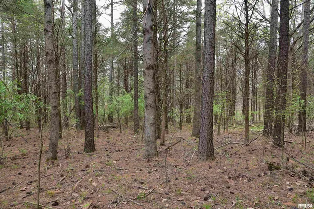 $185,000 | 0 Parrish Ridge Lane, Goreville, IL 62939