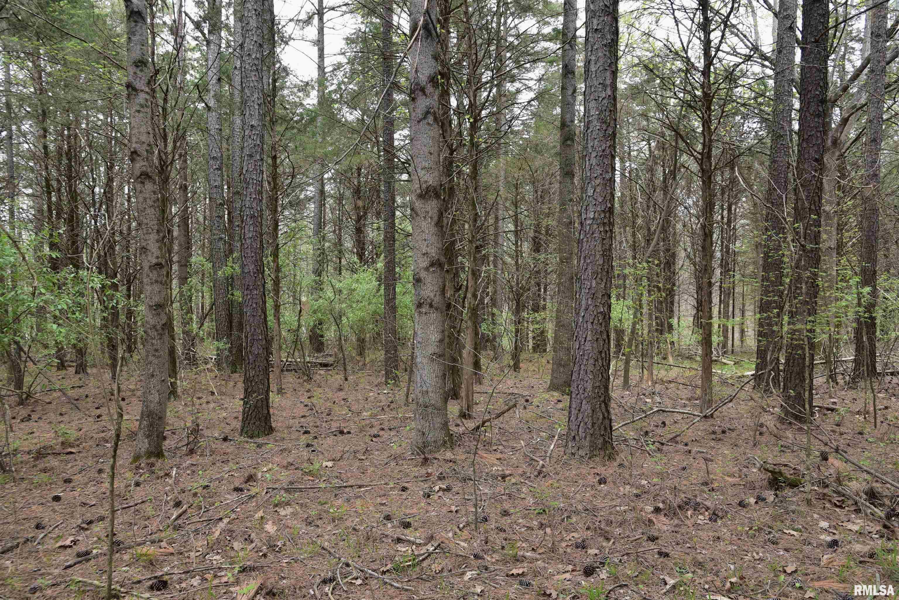 0 Parrish Ridge Lane Goreville, IL 62939 - Photo 23 of 26